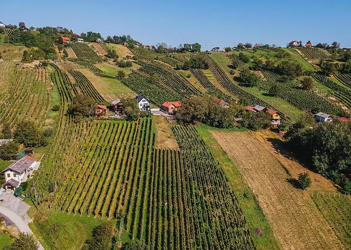 Aleks Prázdninový dům